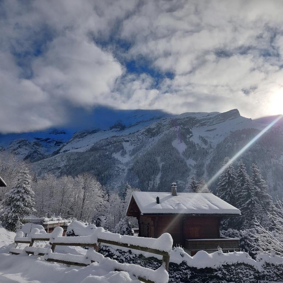 Chambre D'Hotes L'Ours Bleu Ле-Дьяблере Экстерьер фото